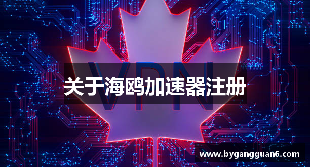 关于海鸥加速器注册
