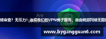 网络审查？无压力！选择我们的VPN梯子服务，自由畅游网络无阻碍！